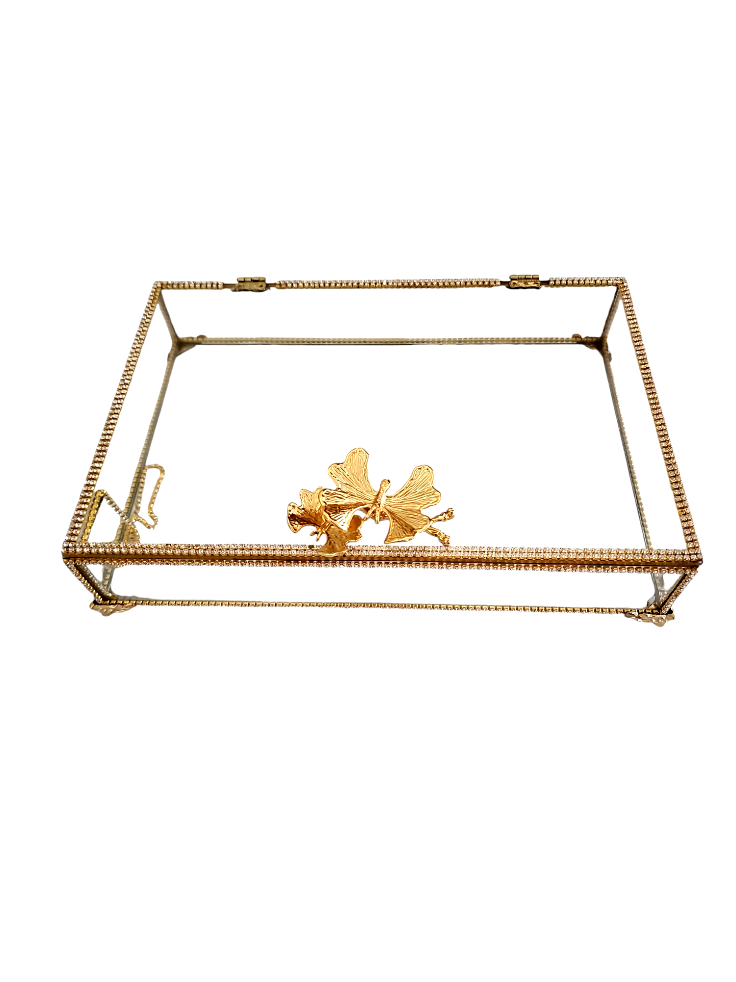 Photoroom-20241012_134459